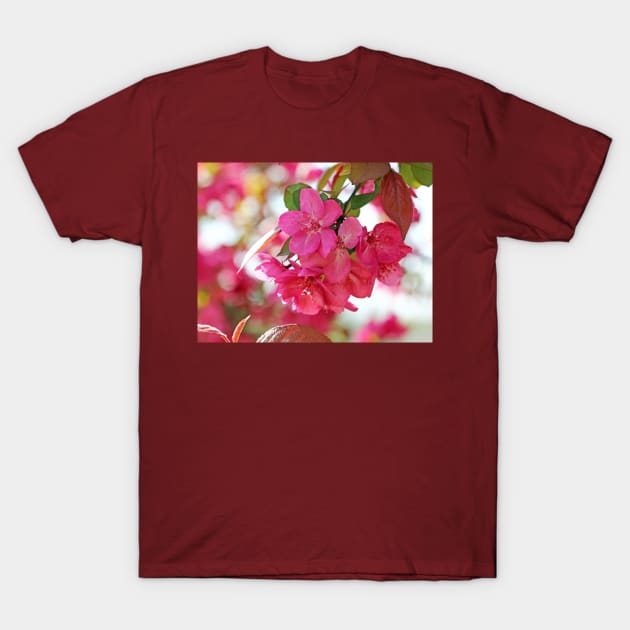 A branch of Crabapple flowers T-Shirt by ikshvaku